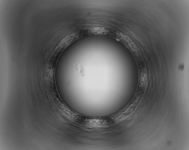 X0000101190473200806271320