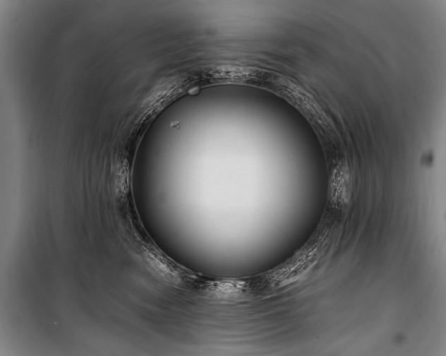 X0000101190474200806271320