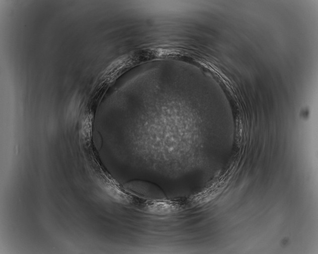 X0000101190475200806271320