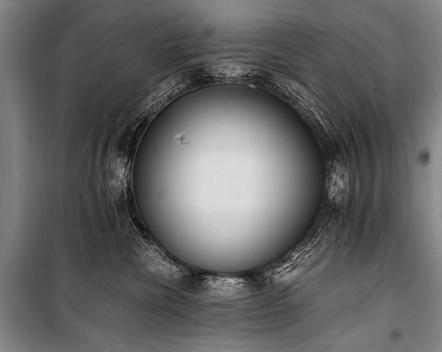 X0000101190476200806271320