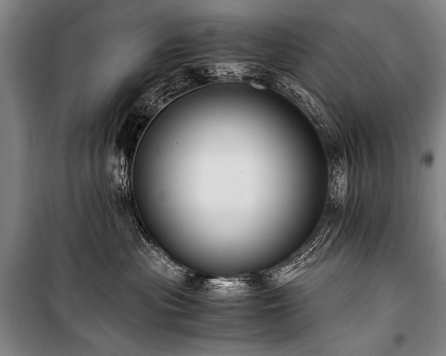 X0000101190477200806271320