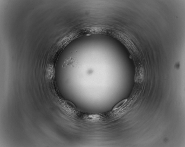 X0000101190478200806271320
