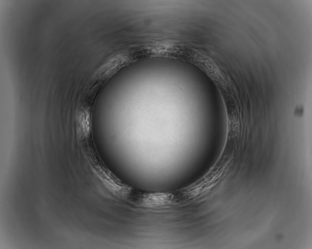 X0000101190479200806271320