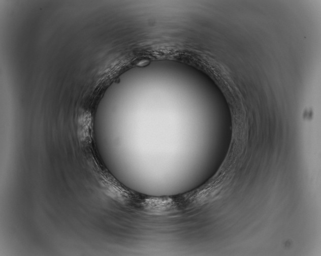 X0000101190480200806271320