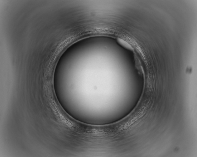 X0000101190481200806271319