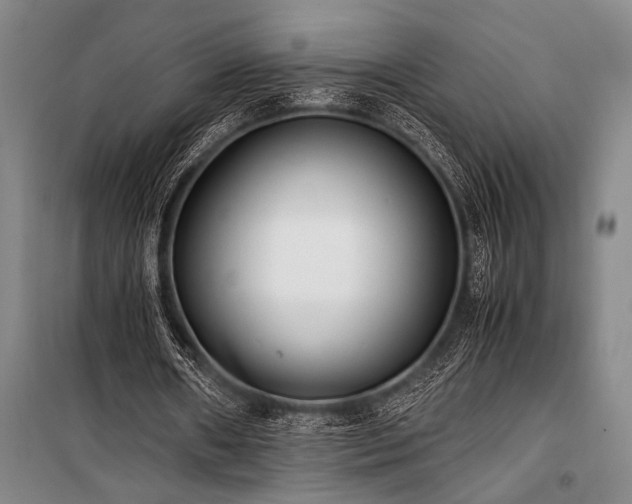 X0000101190482200806271319