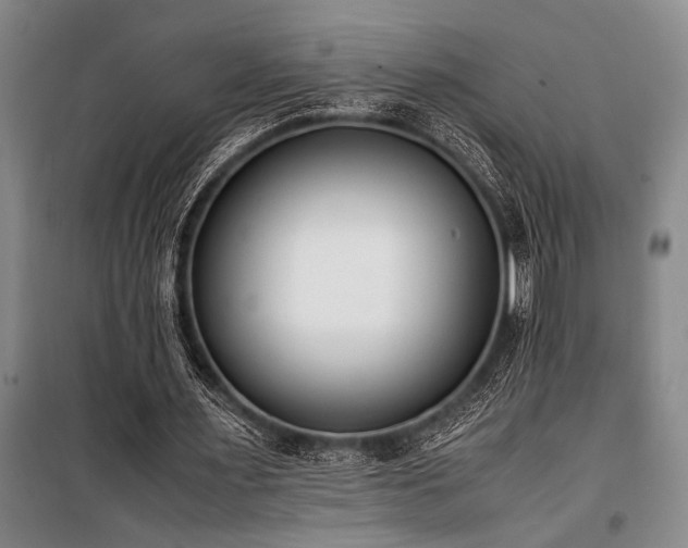 X0000101190483200806271319