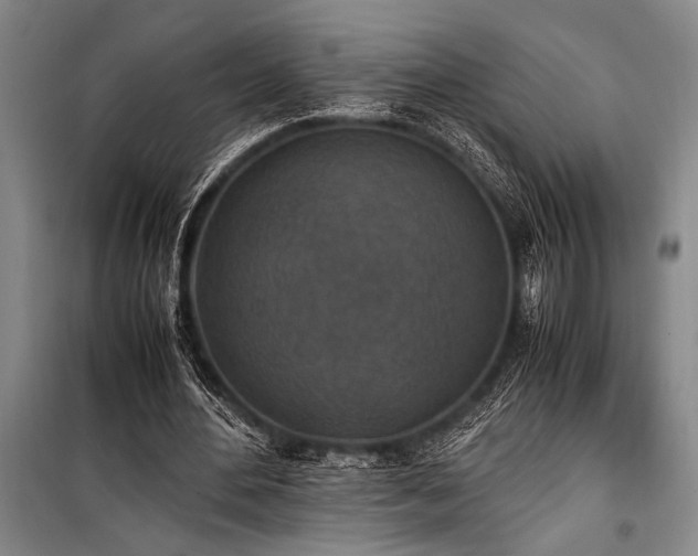 X0000101190484200806271319