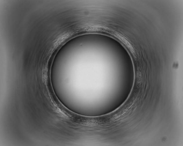 X0000101190485200806271319