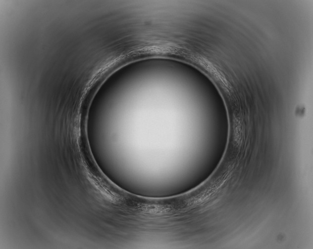 X0000101190486200806271319