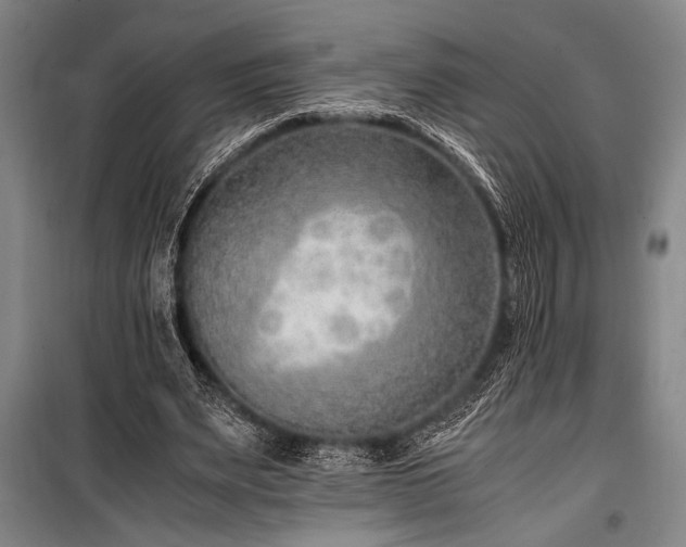 X0000101190487200806271319