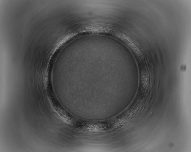 X0000101190488200806271319