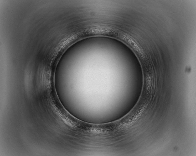 X0000101190490200806271319