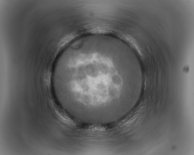 X0000101190491200806271319