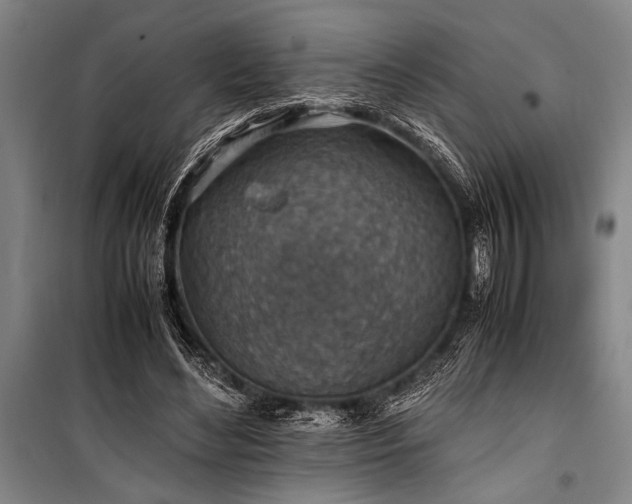 X0000101190492200806271319