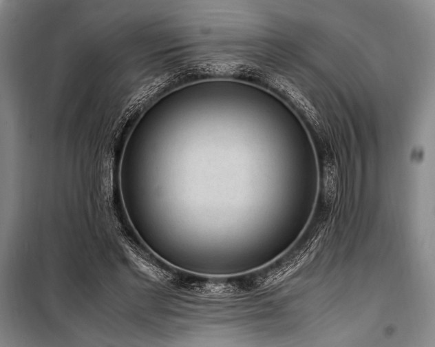 X0000101190493200806271319