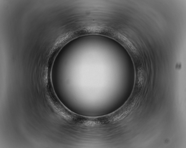 X0000101190494200806271319