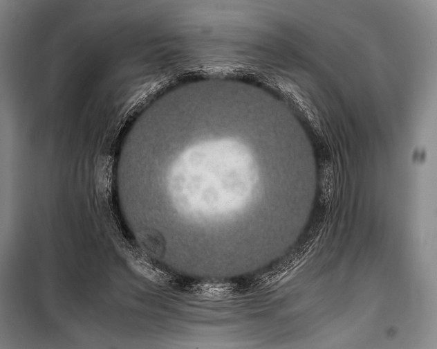 X0000101190495200806271319