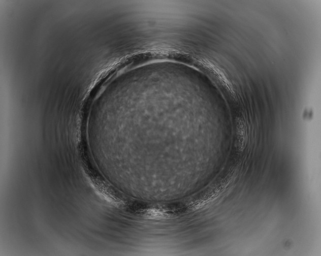 X0000101190496200806271319