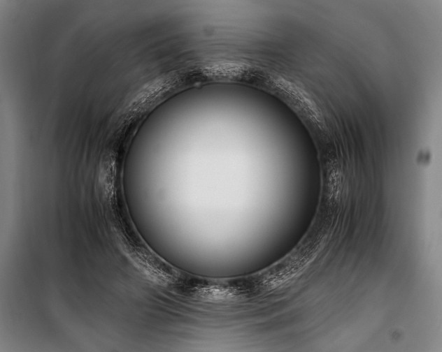 X0000101190498200806271319