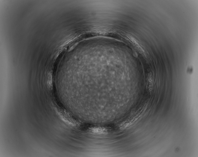 X0000101190500200806271319