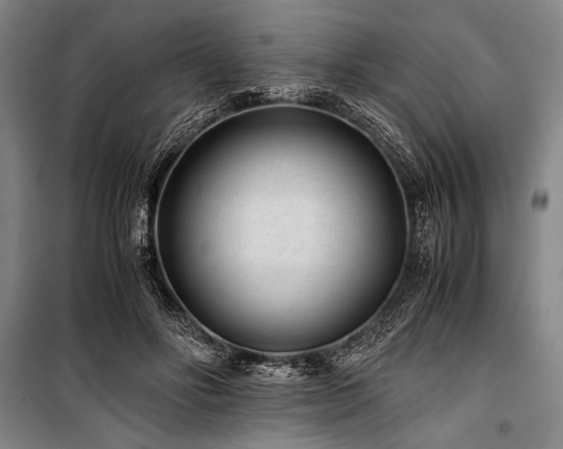 X0000101190502200806271319