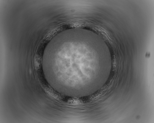 X0000101190503200806271319