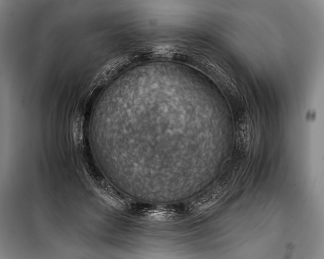 X0000101190504200806271319