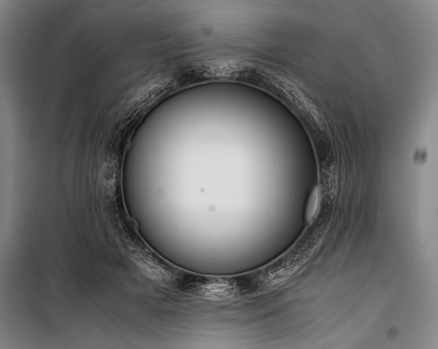X0000101190505200806271319