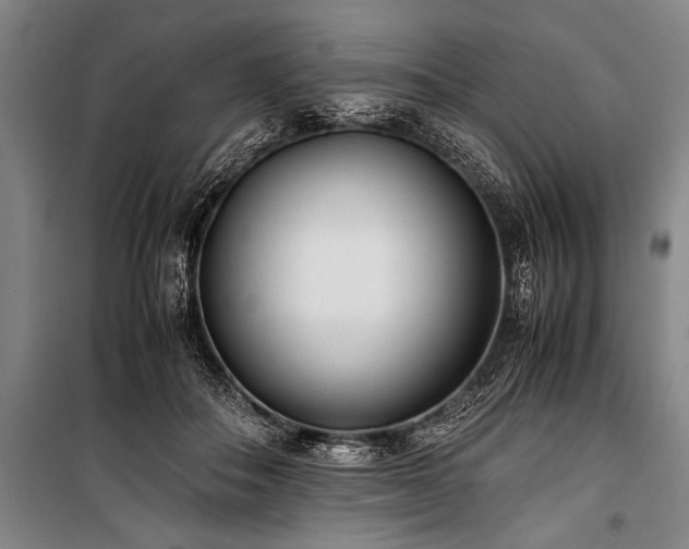 X0000101190506200806271319