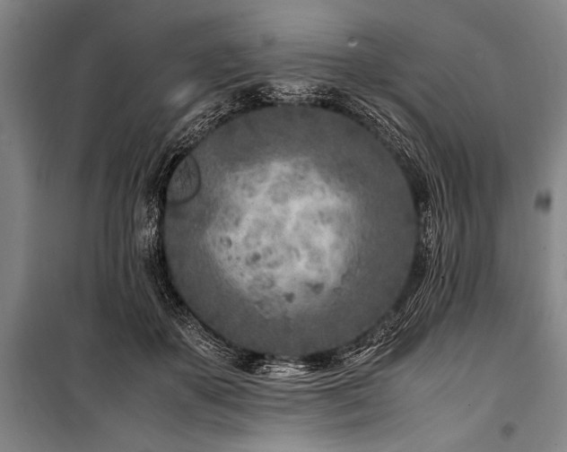 X0000101190507200806271319