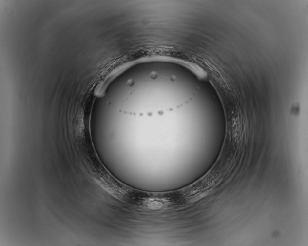 X0000101190508200806271319