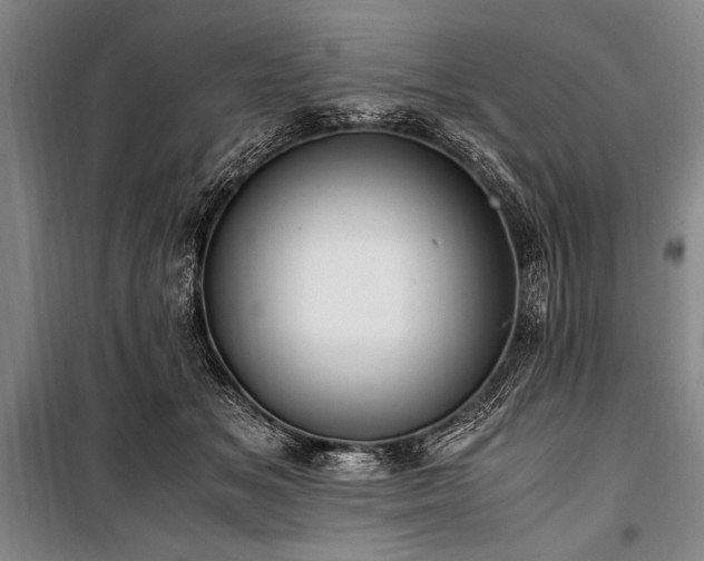 X0000101190509200806271319