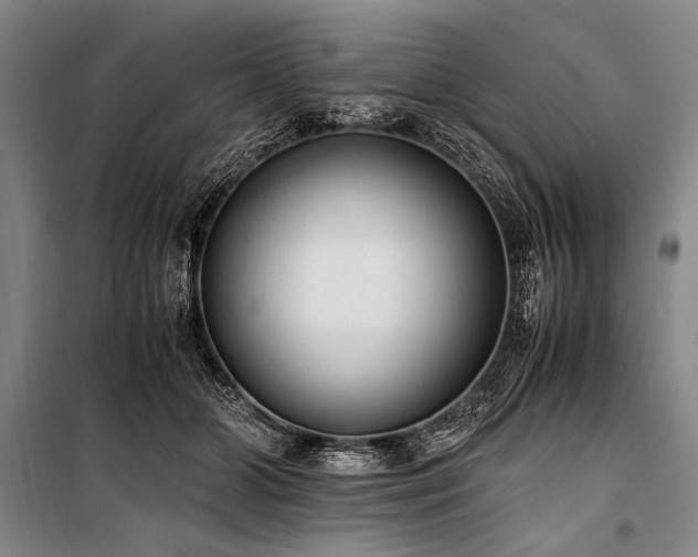 X0000101190510200806271319