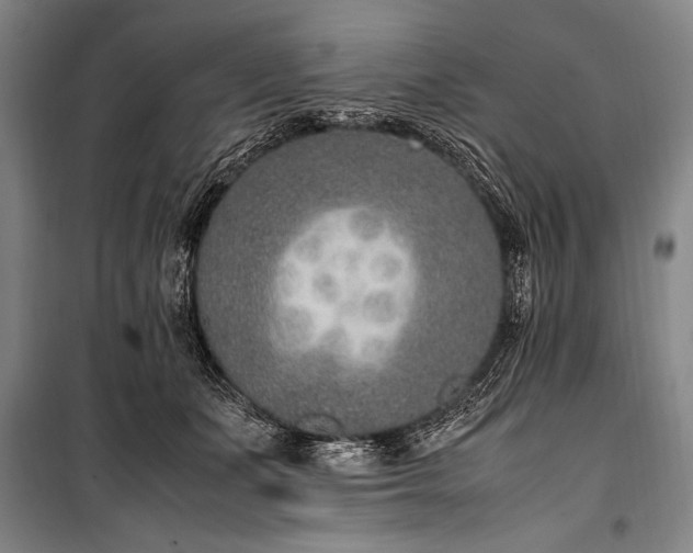 X0000101190511200806271319