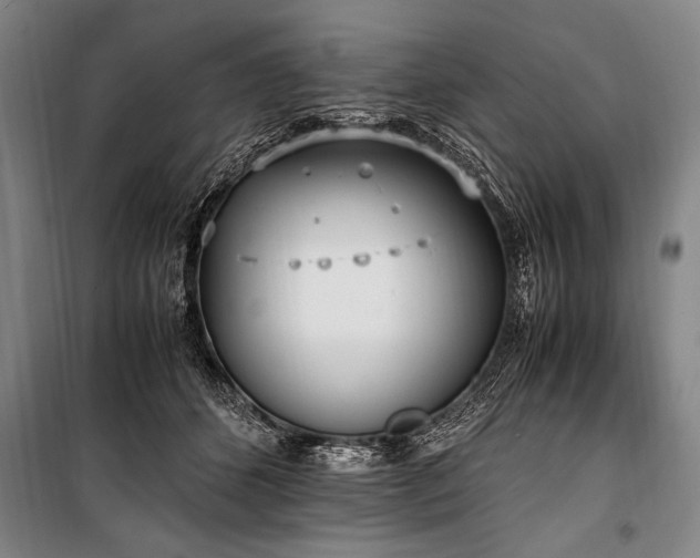 X0000101190512200806271319