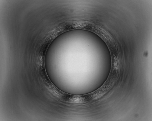 X0000101190514200806271319