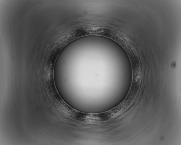 X0000101190515200806271319