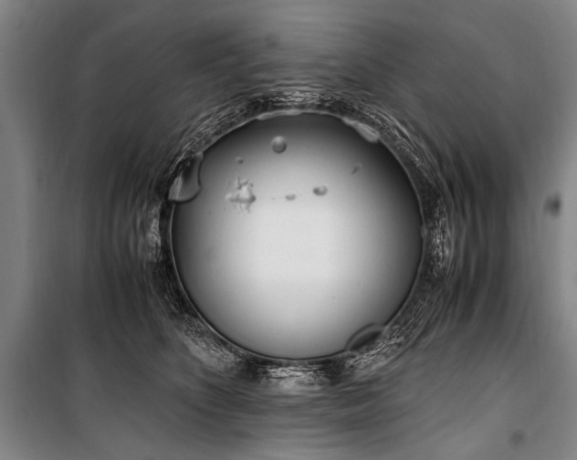 X0000101190516200806271319