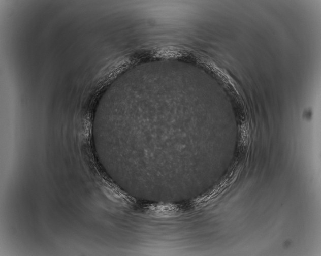 X0000101190517200806271319