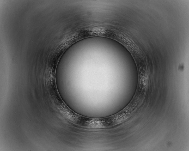 X0000101190518200806271319