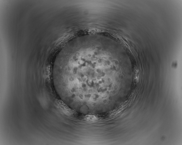 X0000101190519200806271319
