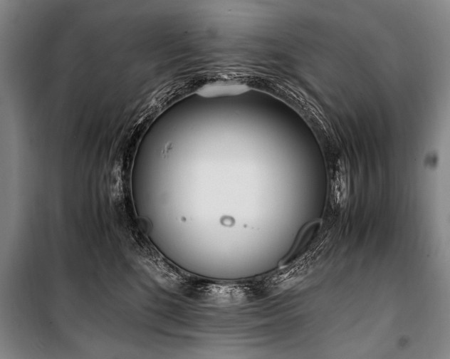 X0000101190520200806271319
