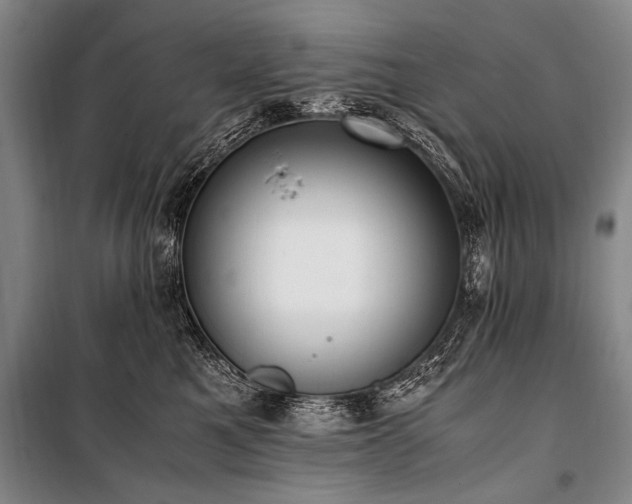 X0000101190521200806271319