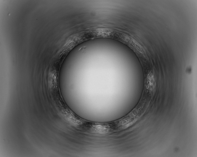 X0000101190522200806271319