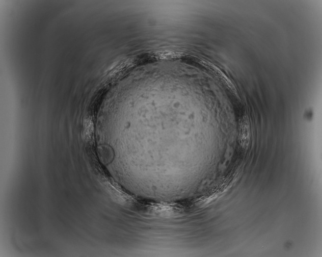X0000101190523200806271319