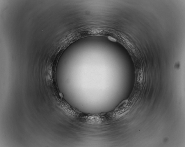 X0000101190524200806271319
