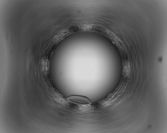 X0000101190525200806271319