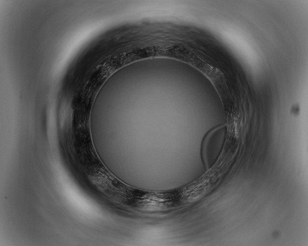 X0000101190526200806271319