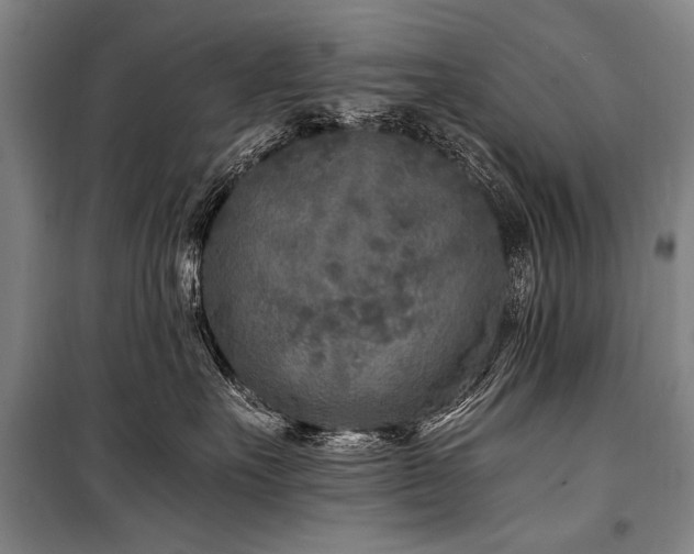 X0000101190527200806271319